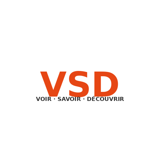 Logo VSD